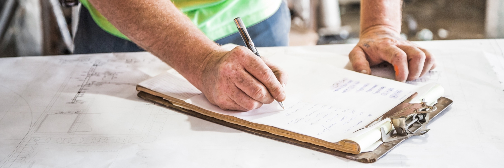 דגש - ליווי בשנת הבדק